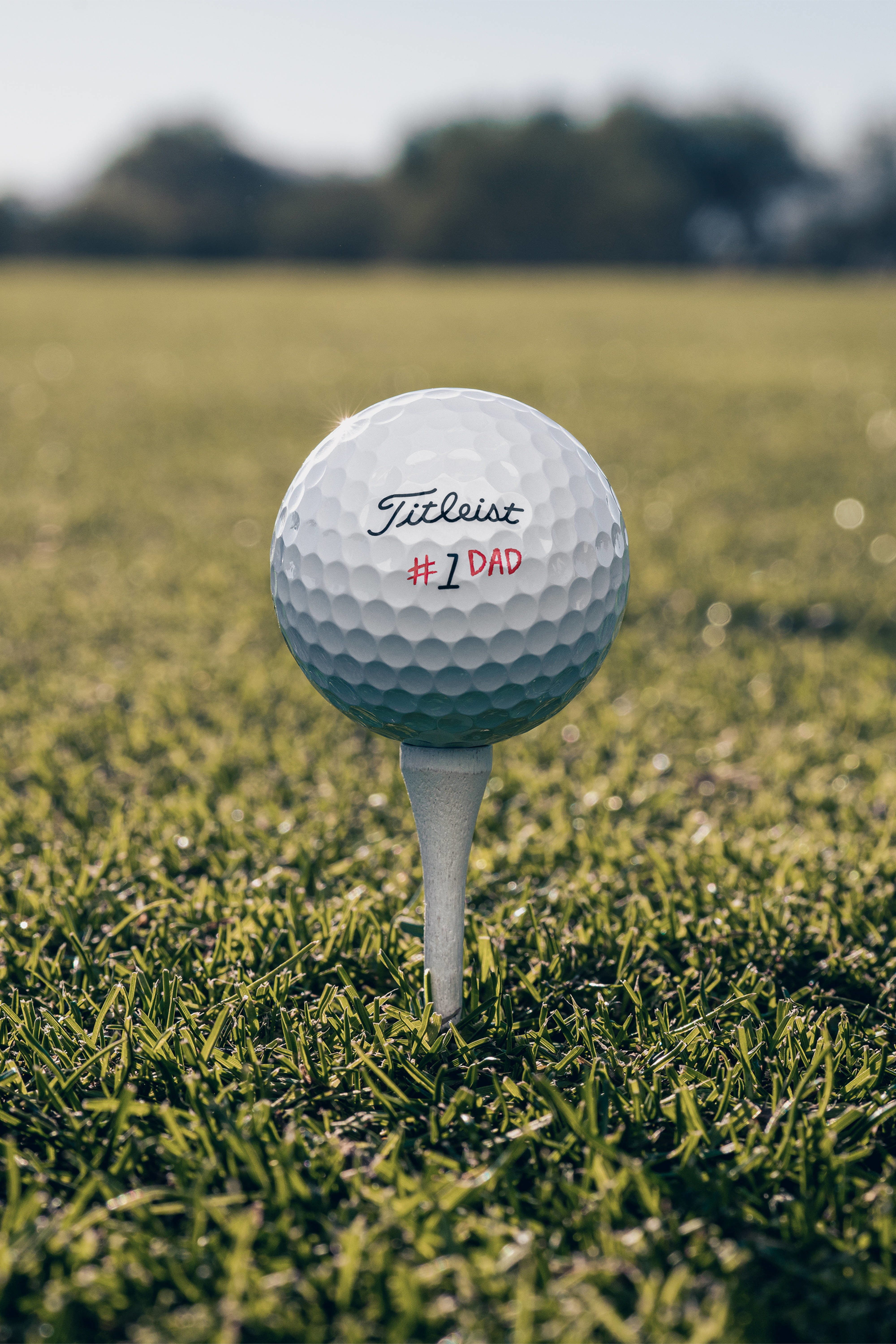PRO V1 FATHER'S DAY 1/2 DZ PRO V1 FATHER'S DAY 1/2 DZ