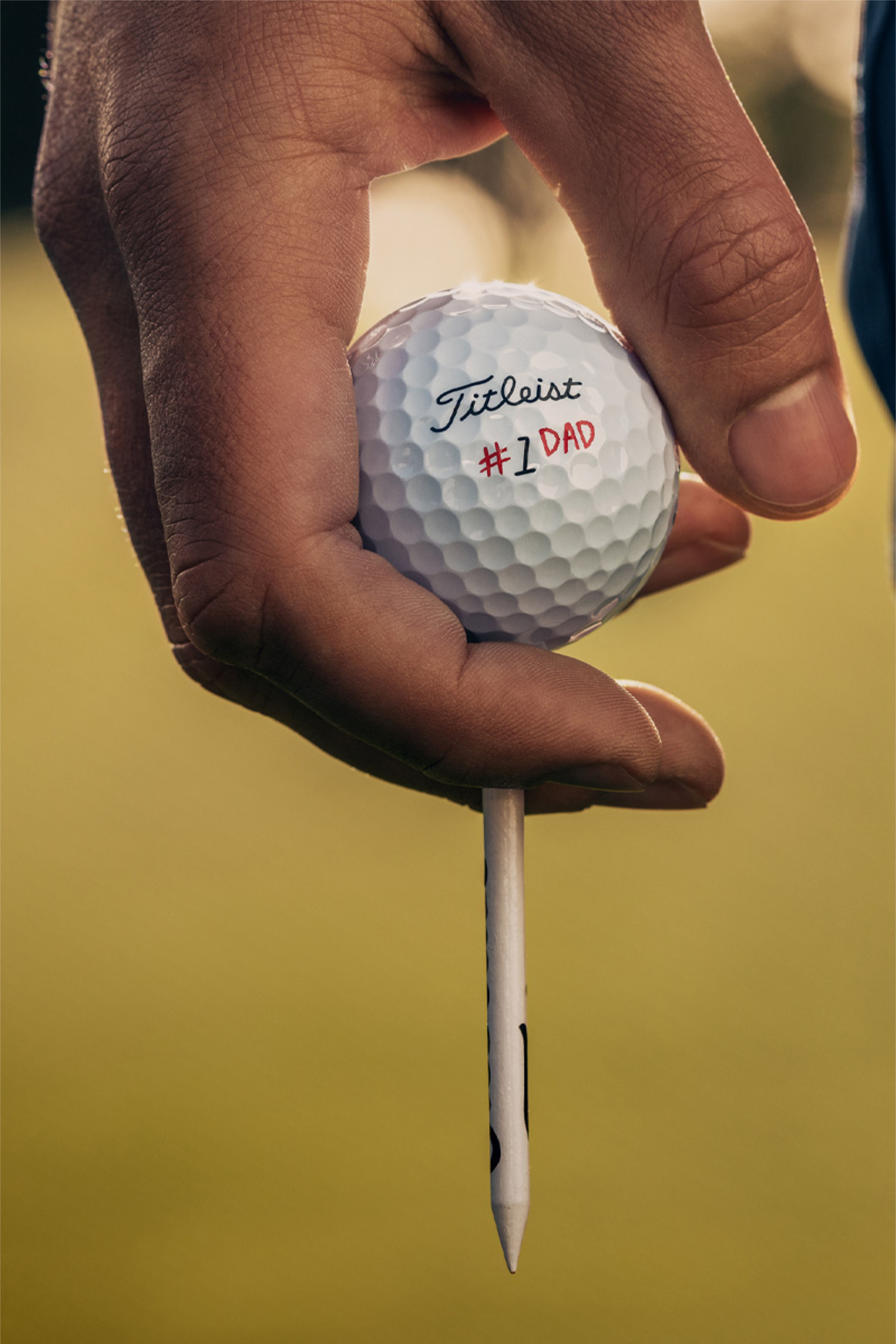PRO V1 FATHER'S DAY 1/2 DZ PRO V1 FATHER'S DAY 1/2 DZ