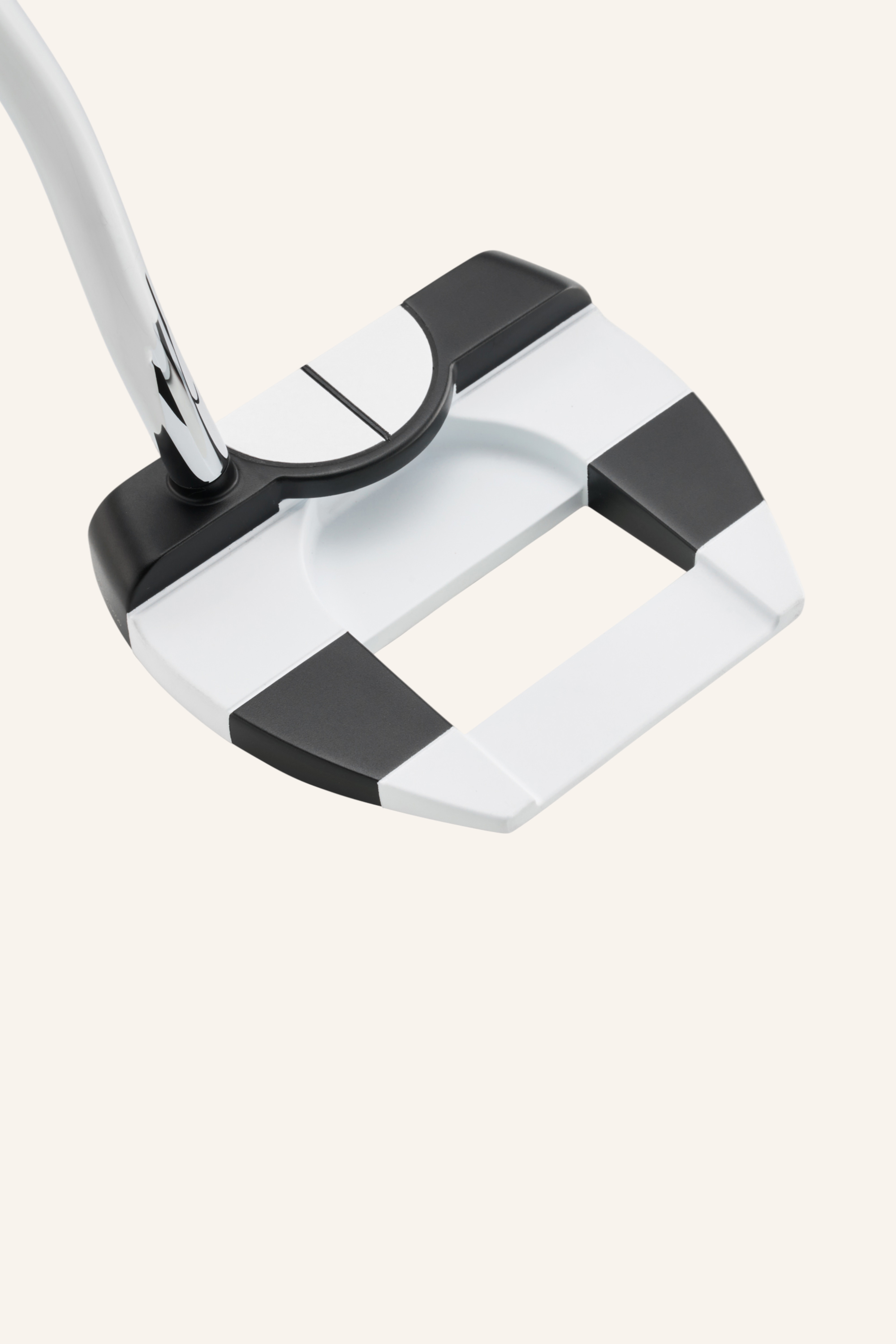 Ai-DUAL JAILBIRD MINI 1/2 Ball Putter