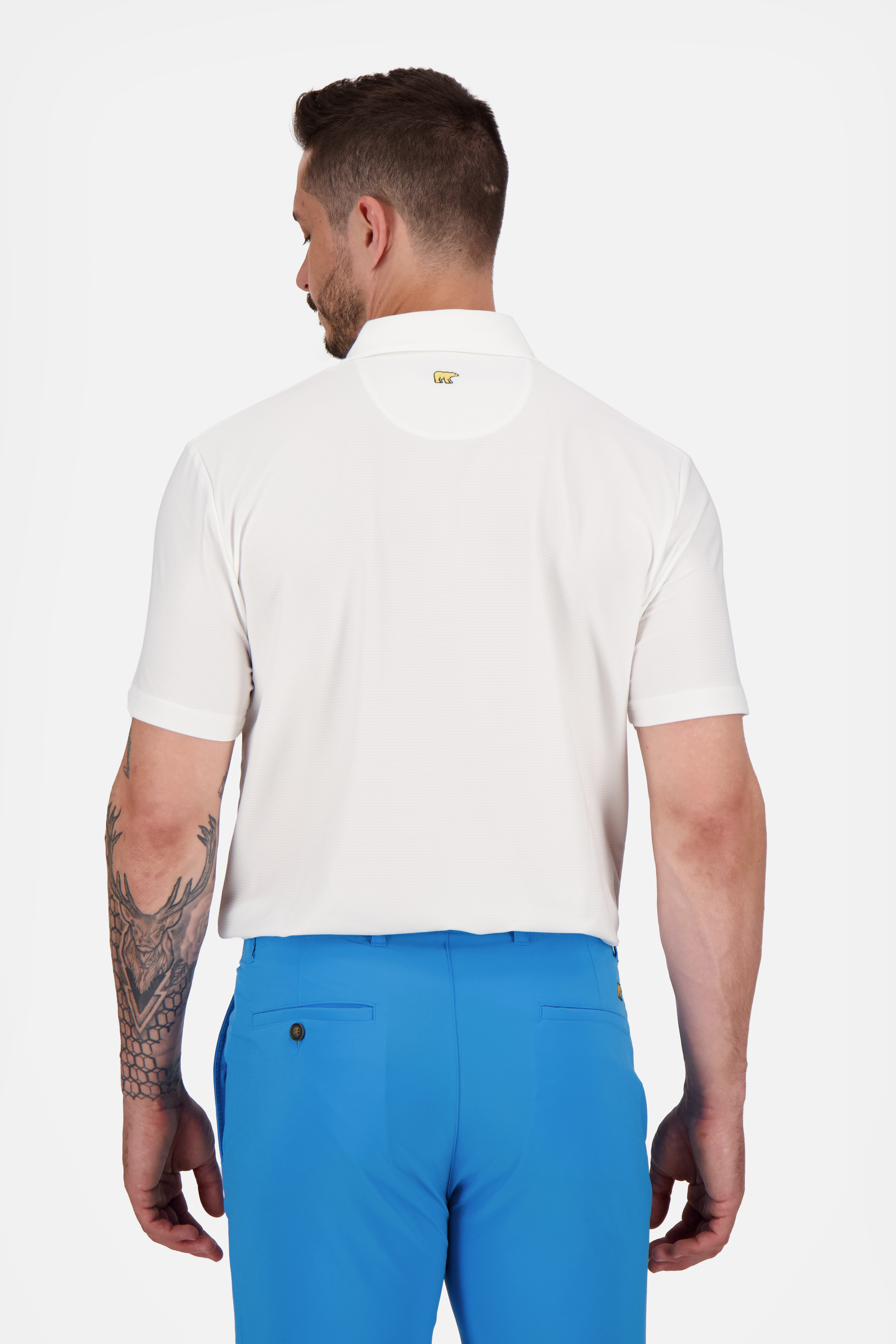 Solid Stripe Polo