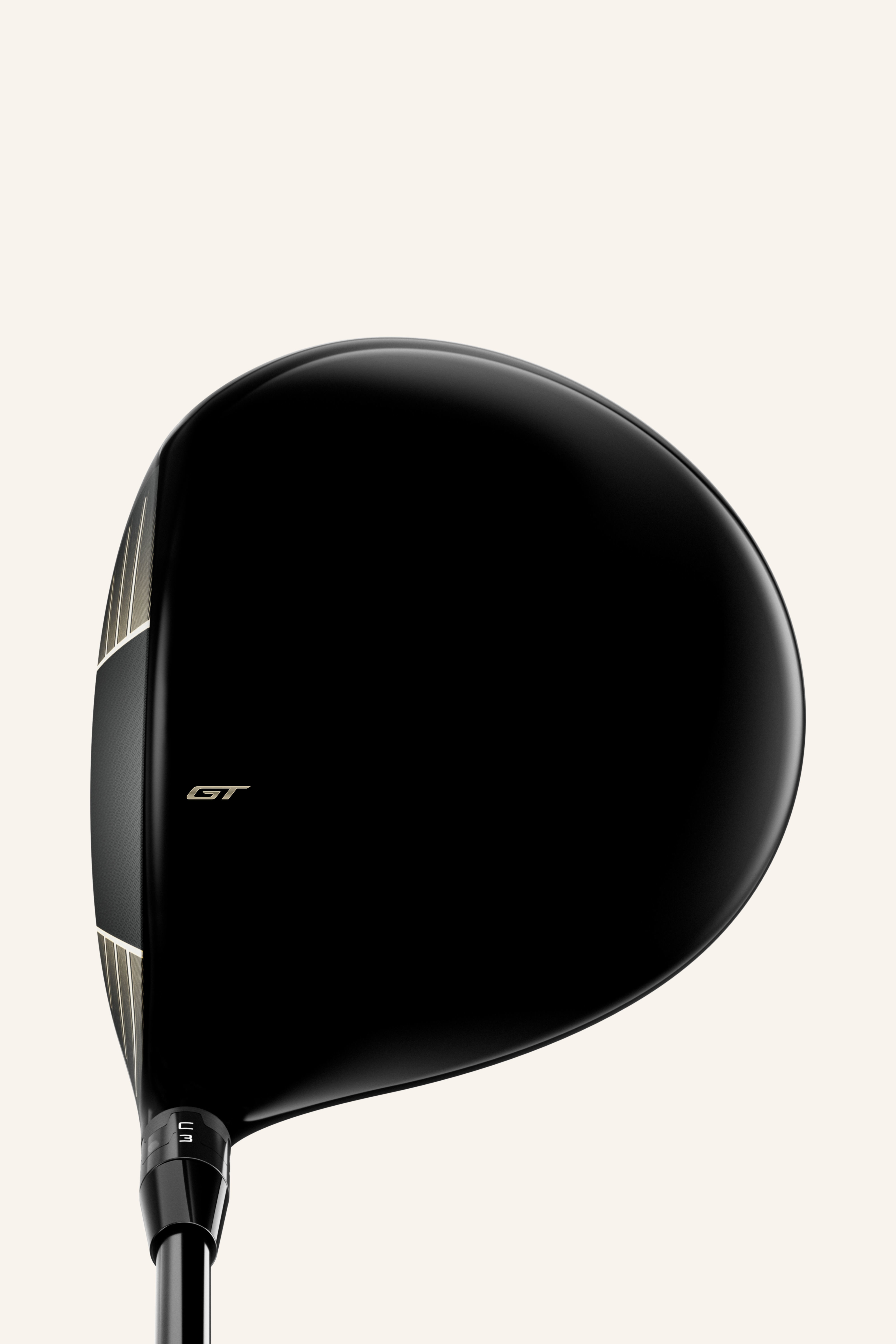 GT 1 Driver