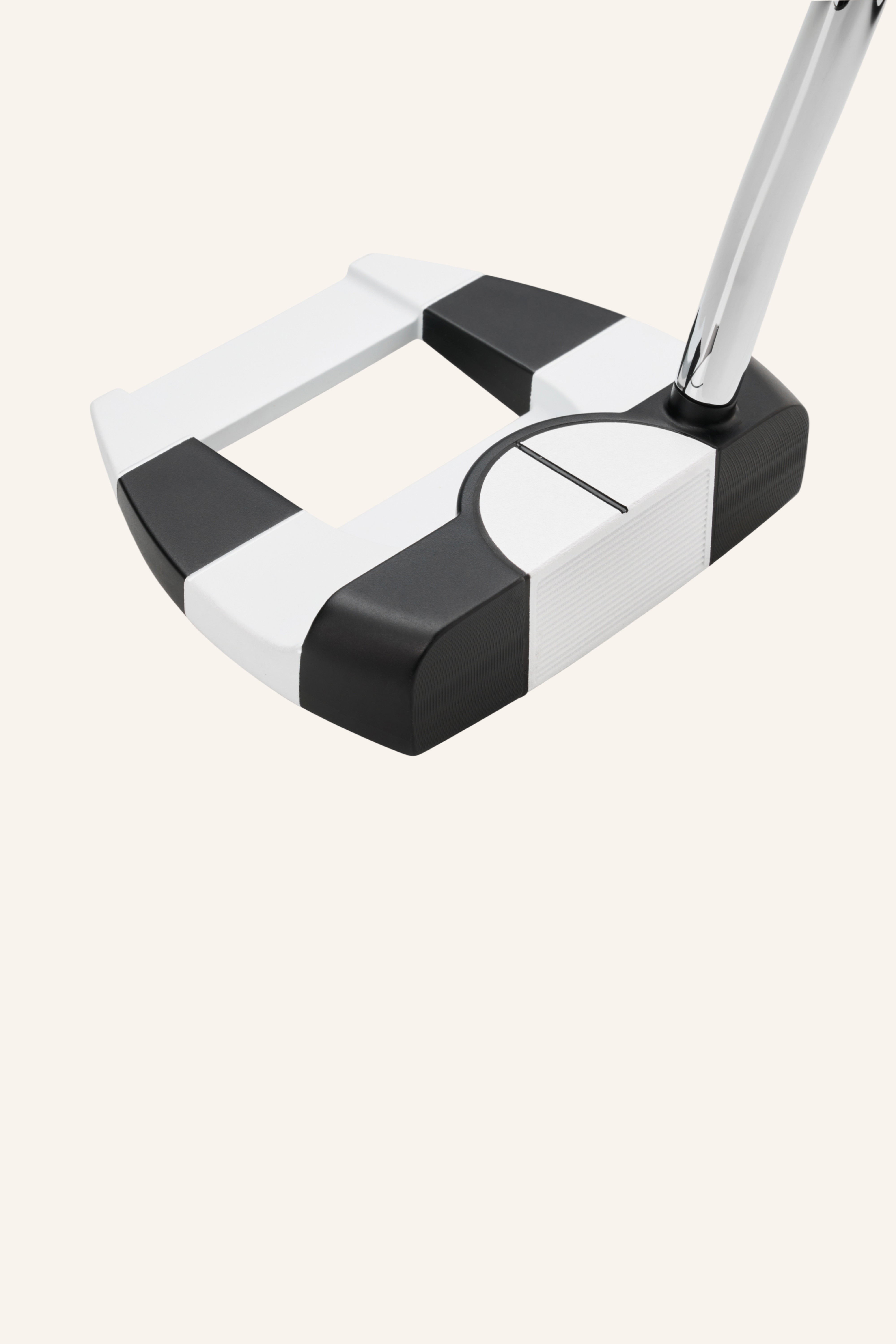 Ai-DUAL JAILBIRD MINI 1/2 Ball Putter